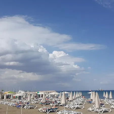 Ithaki Phinikoudes No. 105 *