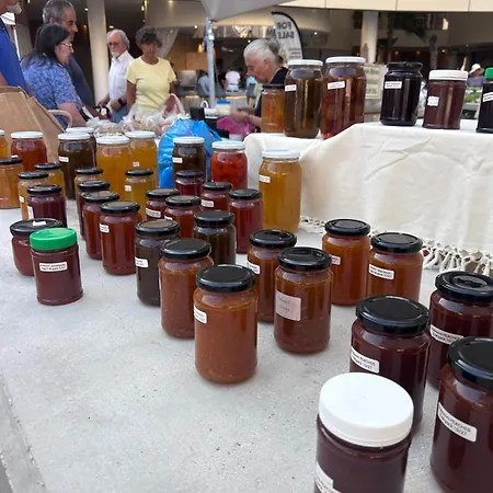 公寓 Ithaki Phinikoudes No. 105 拉纳卡